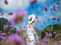 山西龙铝科贸有限公司