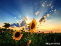 山西龙铝科贸有限公司