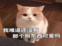 山西龙铝科贸有限公司