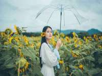 山西龙铝科贸有限公司
