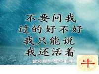 山西龙铝科贸有限公司