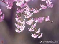 山西龙铝科贸有限公司