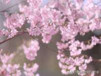山西龙铝科贸有限公司