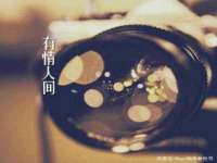 山西龙铝科贸有限公司