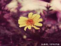 山西龙铝科贸有限公司