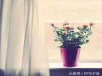 山西龙铝科贸有限公司