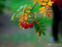山西龙铝科贸有限公司