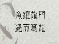 山西龙铝科贸有限公司