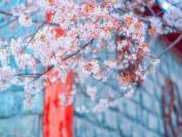 山西龙铝科贸有限公司