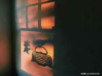 山西龙铝科贸有限公司