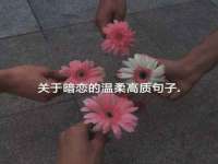 山西龙铝科贸有限公司