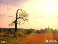 山西龙铝科贸有限公司