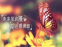 山西龙铝科贸有限公司