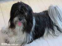 山西龙铝科贸有限公司