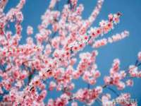 山西龙铝科贸有限公司