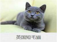 山西龙铝科贸有限公司