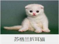 山西龙铝科贸有限公司