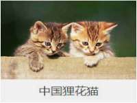 山西龙铝科贸有限公司