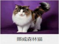 山西龙铝科贸有限公司