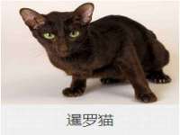 山西龙铝科贸有限公司