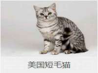 山西龙铝科贸有限公司