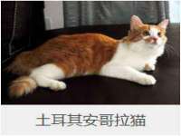山西龙铝科贸有限公司