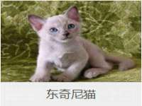 山西龙铝科贸有限公司