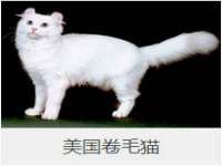 山西龙铝科贸有限公司