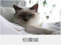 山西龙铝科贸有限公司