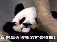 山西龙铝科贸有限公司