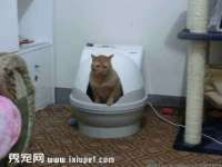 山西龙铝科贸有限公司
