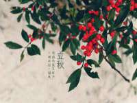 山西龙铝科贸有限公司