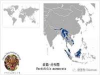 山西龙铝科贸有限公司