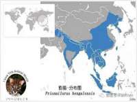 山西龙铝科贸有限公司