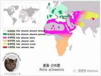 山西龙铝科贸有限公司