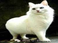 山西龙铝科贸有限公司