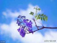 山西龙铝科贸有限公司