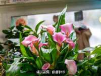山西龙铝科贸有限公司