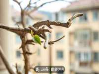山西龙铝科贸有限公司