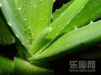 山西龙铝科贸有限公司