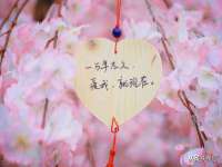 山西龙铝科贸有限公司