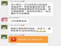 山西龙铝科贸有限公司