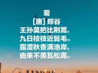 山西龙铝科贸有限公司