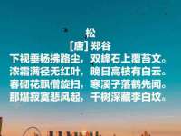 山西龙铝科贸有限公司