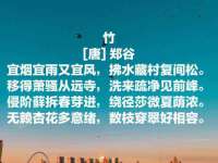 山西龙铝科贸有限公司