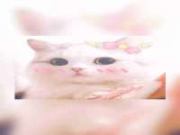 山西龙铝科贸有限公司