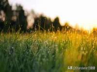 山西龙铝科贸有限公司