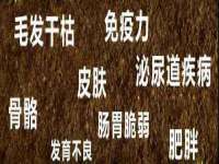 山西龙铝科贸有限公司