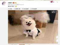 山西龙铝科贸有限公司