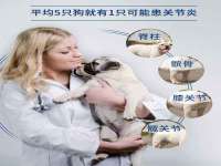 山西龙铝科贸有限公司